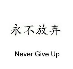 the words never give up written in chinese