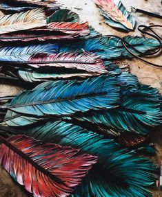 several different colored feathers are laid out on the ground