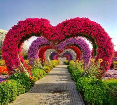 a heart shaped garden with flowers on the ground and in the middle, there is a walkway that leads to it