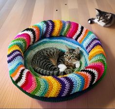 a cat laying in a crocheted bed on the floor next to another cat