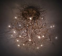 a chandelier with lights hanging from it's branches