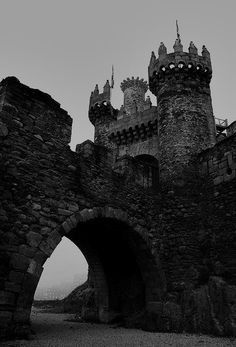 an old stone castle with two towers and gates