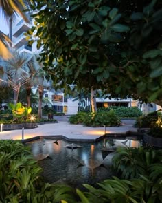 the courtyard at night with lights on and trees in the foreground, surrounded by greenery