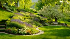 a lush green hillside covered in lots of trees and flowers next to a park bench