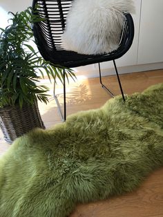 a green rug on the floor next to a chair and potted plant