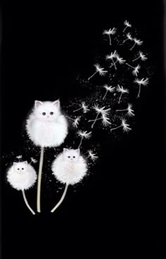 a cat and two kittens are blowing dandelions on a black phone case