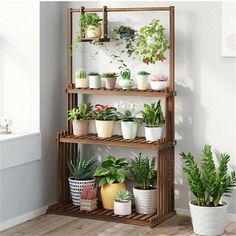 a wooden shelf filled with potted plants next to a tv