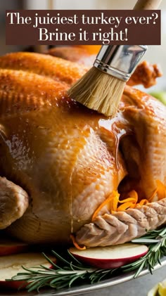 a turkey being brushed with a brush on top of it and the words, the juicingest turkey ever? brine it right