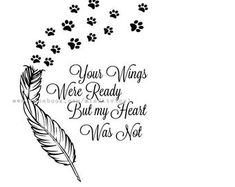 a feather and paw prints with the words you're wings were ready but my heart was