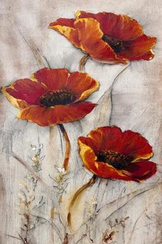 three red flowers are shown on a white background, and one is in the foreground