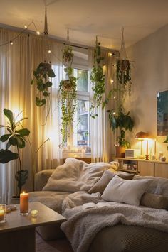 a living room filled with lots of plants next to a window covered in blankets and lights