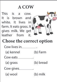 A cow . Read  and choose the correct answer . easy reading worksheet Learning Phonics, Reading Comprehension Lessons, Kindergarten Reading Worksheets, Animal Worksheets, English Activities For Kids, English Worksheet