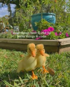 two little ducks sitting in the grass with a quote above them that says, some things have to end for better things to come