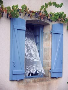 an open window with blue shutters and vines growing on the outside wall behind it