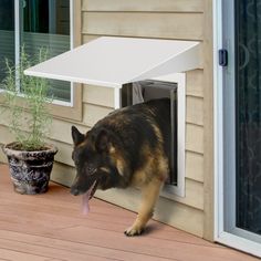 a dog is sticking its tongue out of an open door on the outside of a house