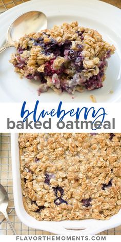 blueberry baked oatmeal in a white baking dish