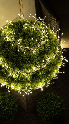 easy christmas decorating ideas Christmas Lights On Shrubs, Bush Christmas Lights, How To Decorate Bushes For Christmas, Rustic Country Christmas Tree Ideas, Backyard Christmas Decor Ideas, Classy Outdoor Christmas Lights, Country Christmas Tree Ideas, Woodsy Christmas Tree, Window Seats Ideas