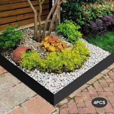 a small garden with rocks and plants in the center, surrounded by brick pavers