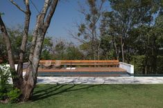 a wooden bench sitting next to a tree near a swimming pool in the middle of a lush green park