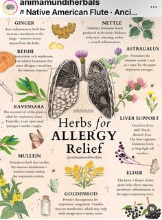 Herbal Healer Aesthetic, Holistic Medicine Recipes, Herbs For Asthma, Herbal Education, Herbal Remedies Recipes, Medicinal Herbs Garden, Medical Herbs, Magia Das Ervas, Magic Herbs