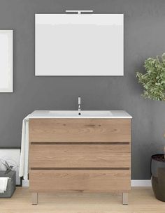 a bathroom vanity with a mirror above it and a potted plant in the corner