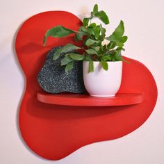 a potted plant sitting on top of a red shelf next to a black rock