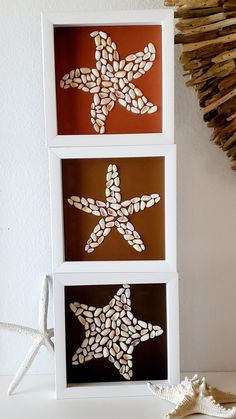 A stack of three white shadowbox frames, each with a mosaic of coquina shells into the shapes of sea stars on neutral brown shaded matboard Coquina Shell Art, Sea Shells Art, Shell Mural, Coquina Shells, Sea Glass Display, Mosaic Sea, Seashell Art Diy, Shell Artwork, Sea Shells Diy