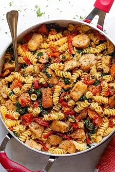 a pan full of pasta with chicken and spinach on the side next to a red spatula