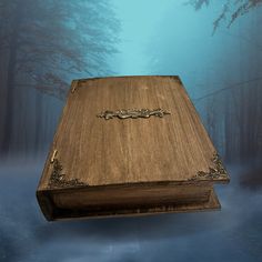 an open wooden box sitting on top of a table in the middle of a forest