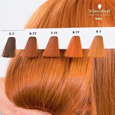 Orange Copper Hair, Copper Blonde Hair Color, Strawberry Blonde Hair Color, Different Shades Of Red