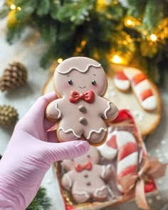 a person holding up a gingerbread cookie in front of some christmas cookies and pine cones