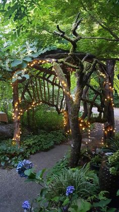 a garden with lots of plants and lights on the arborid area, surrounded by trees