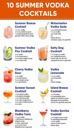 the top ten summer vodka cocktails info for drinks that are perfect to drink in