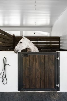 a white horse sticking its head over the top of a wooden gate in an enclosed area