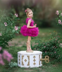 Birthday Photoshoot Ideas Kids, Toddler Girl Birthday Photoshooting, Ballerina Photoshoot Kids, Fairy Photoshoot Ideas Kids, Toddler Girl Photoshooting Ideas Spring, Toddler Fairy Photoshoot, Yearbook Quotes, Ballerina Birthday Parties