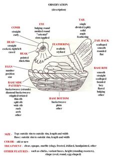 the diagram shows parts of a bird's body and its surroundings, including their names