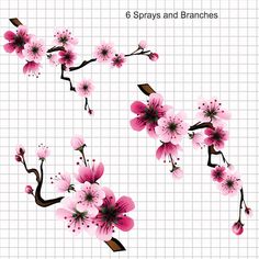 pink flowers and branches are arranged in the shape of letters that spell out 6 sprays and branches