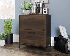 a wooden cabinet with two drawers next to a potted plant and other office supplies