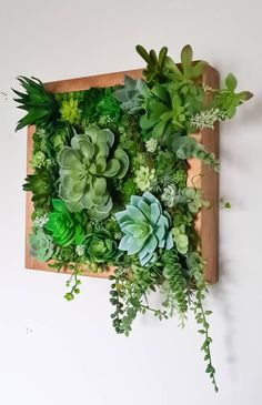 an arrangement of succulents and plants on a wooden board