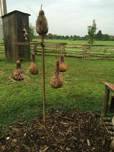 three gourds are hanging from a pole in the grass near a barn and fence