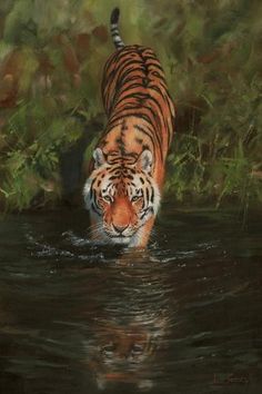 a painting of a tiger walking in the water