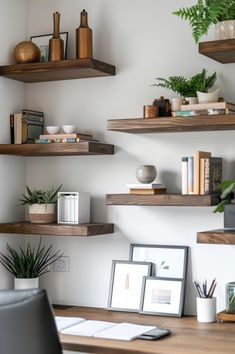 some shelves with plants and pictures on them