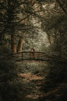 A beautiful Engagement Photo on an arched bridge in the Botanical Gardens of Asheville. Asheville Botanical Gardens, Fairy Core Engagement Photos, Fairy Tail Engagement Photos, Enchanted Forest Wedding Photos, Forest Proposal Photos, Woodland Engagement Shoot, Magical Engagement Photos, English Countryside Photoshoot, Victorian Engagement Photos