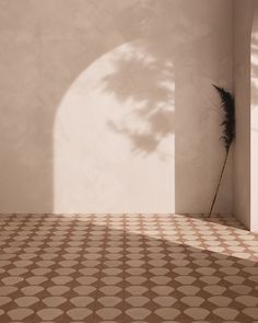 an empty room with a plant in the corner and shadows on the wall behind it