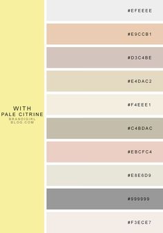 the different shades of paint that are used to create this color scheme for furniture and home decor