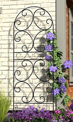 an iron trellis with purple flowers in front of a white brick wall and window