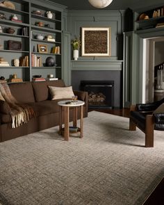 a living room filled with furniture and bookshelves next to a fire place in a fireplace