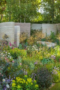 a garden with many different types of flowers and plants in the center, along with stone walls