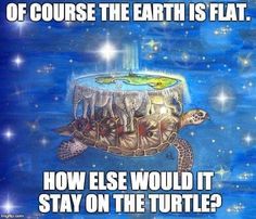 a turtle that is floating in the water with words above it saying, how else would it stay on the turtle?