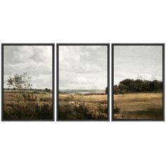 three framed art pieces depicting an open field